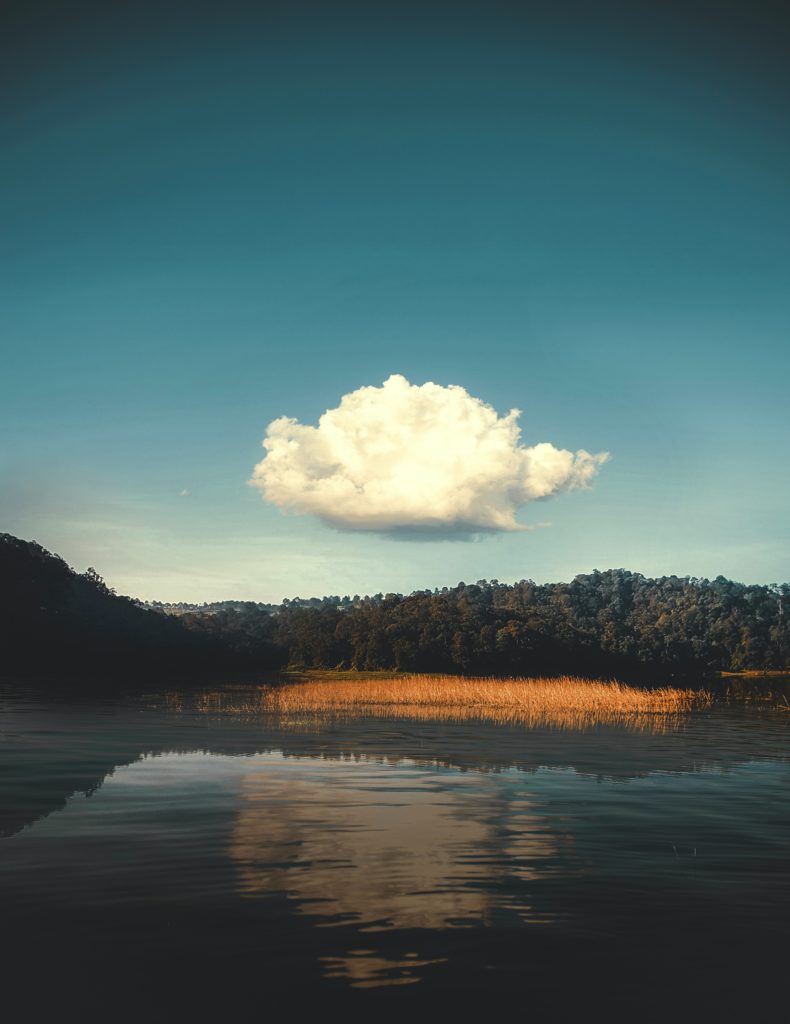 body of water near trees under blue sky during daytime